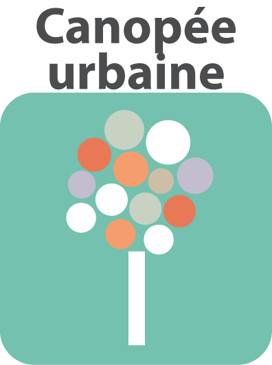 CanopeeUrbaine2.png