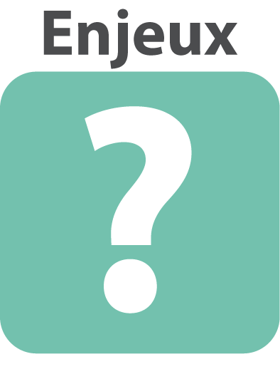 enjeux2