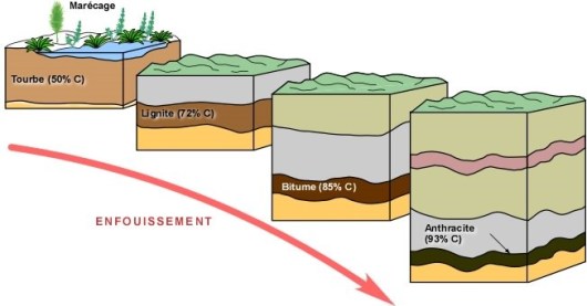 Formation_charbon