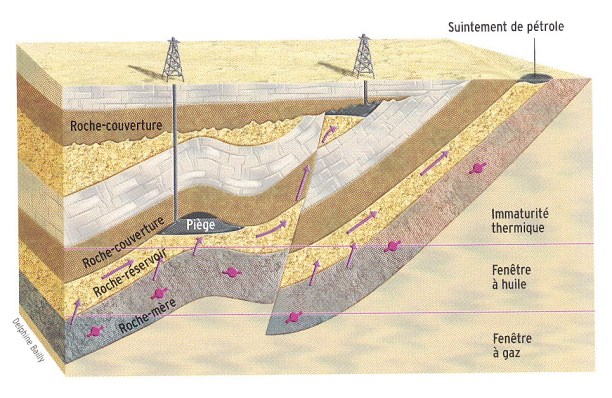 Formation_combustibles_conventionnel_et_non