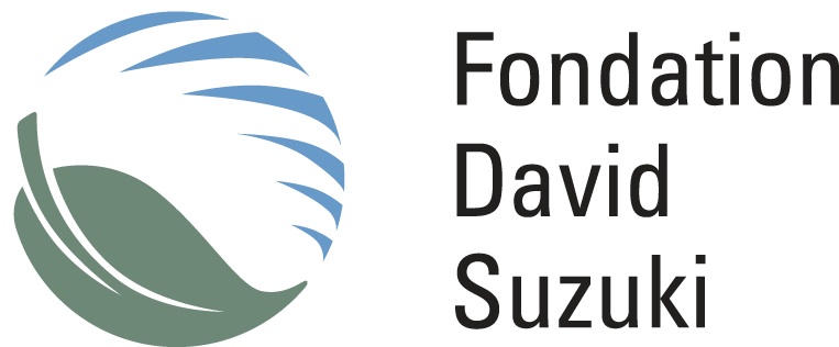 FDSuzuki
